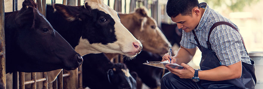 Expert en nutrition et santé animale